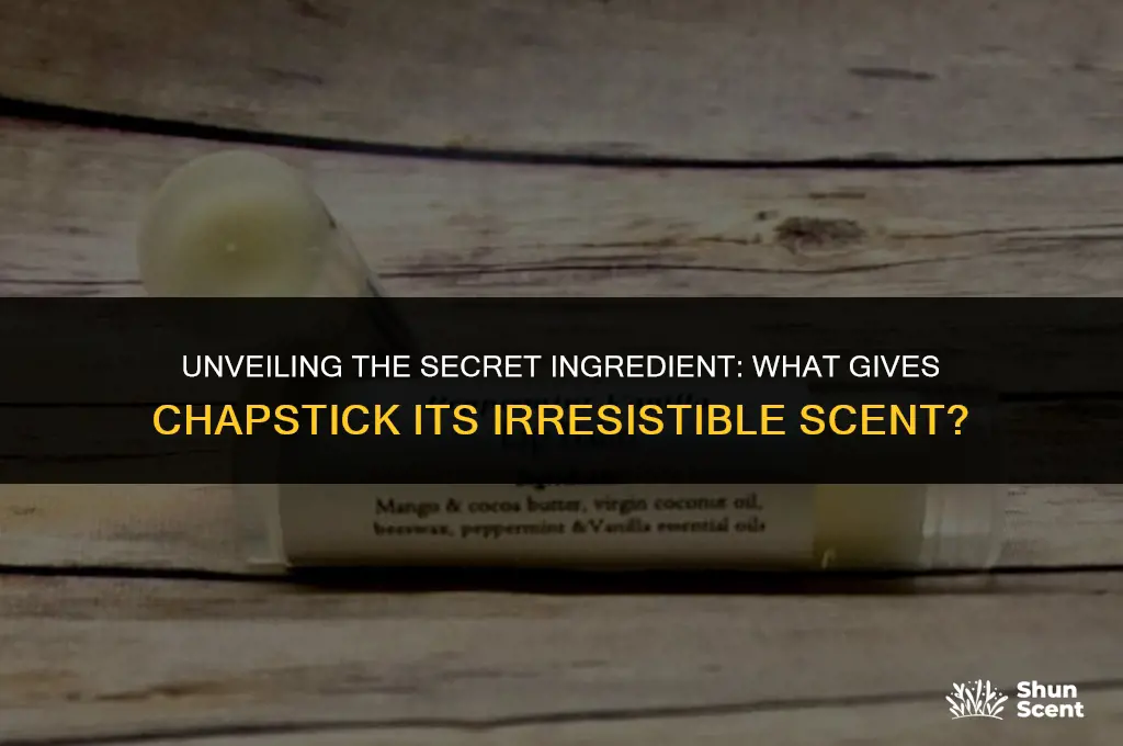what ingredient gives chapstick a scent
