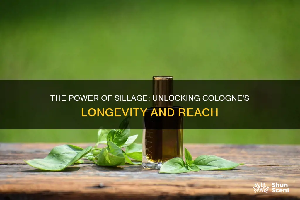 what ingredient gives cologne silage