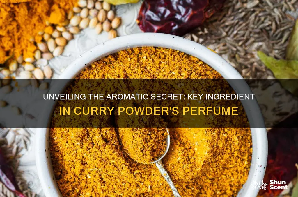 what ingredient gives curry powder its perfumes