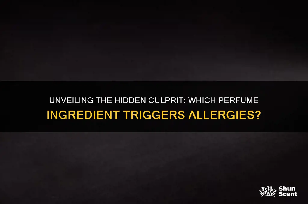 what ingredient in perfume causes allergies