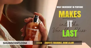 The Secret to Long-Lasting Scents: Perfume's Fixative Power