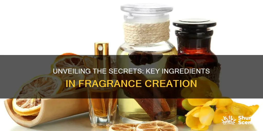 what ingredients are fragrance