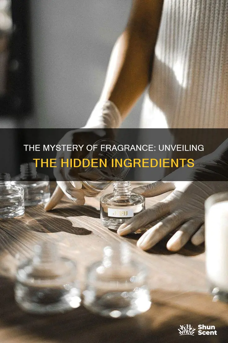 what ingredients are fragrance