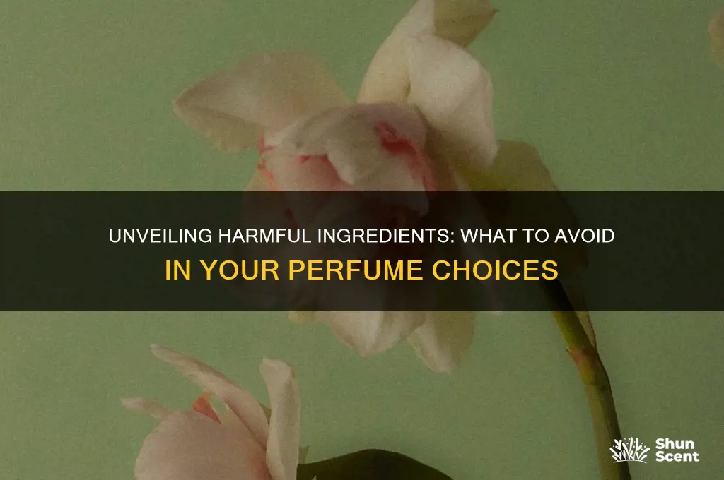 what ingredients to avoid in perfume