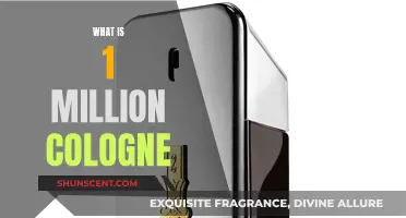 The Alluring Scent of 1 Million Cologne: A Fragrance Review