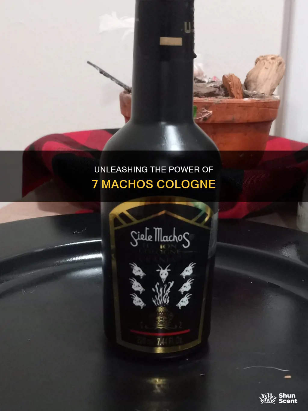 what is 7 machos cologne used for