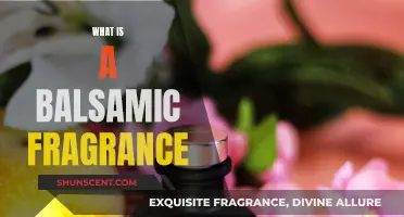 Unveiling the Sweet Aromas: Exploring Balsamic Fragrance Notes