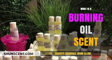 Unveiling the Mystery: What Causes a Burning Oil Scent?