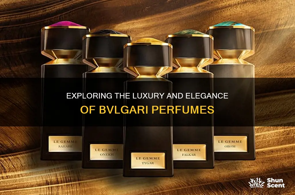 what is a bvlgari perfume