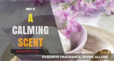 Discover Serenity: The Power of Calming Scents Revealed