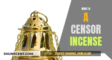 Censor Incense: Ancient Aromas for Modern Times
