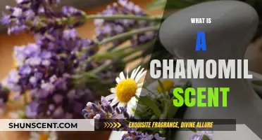Unveiling the Soothing Essence: What is Chamomile Scent?