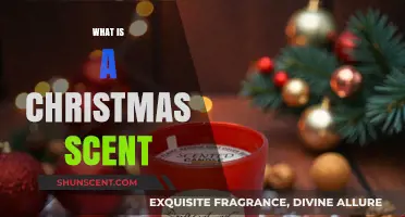 Unwrapping the Magic: What Makes a Scent Truly Christmas?