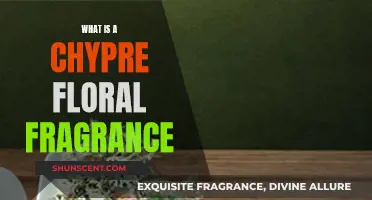 Chypre Floral: A Timeless, Sensual, and Unique Scent Story