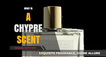 Exploring Chypre: The Alluring Blend of Woody and Floral Notes
