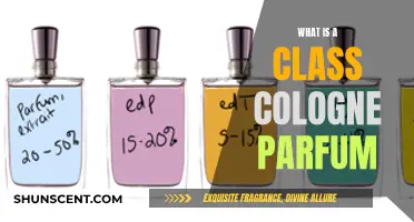 Understanding the Notes of Class Cologne Parfum