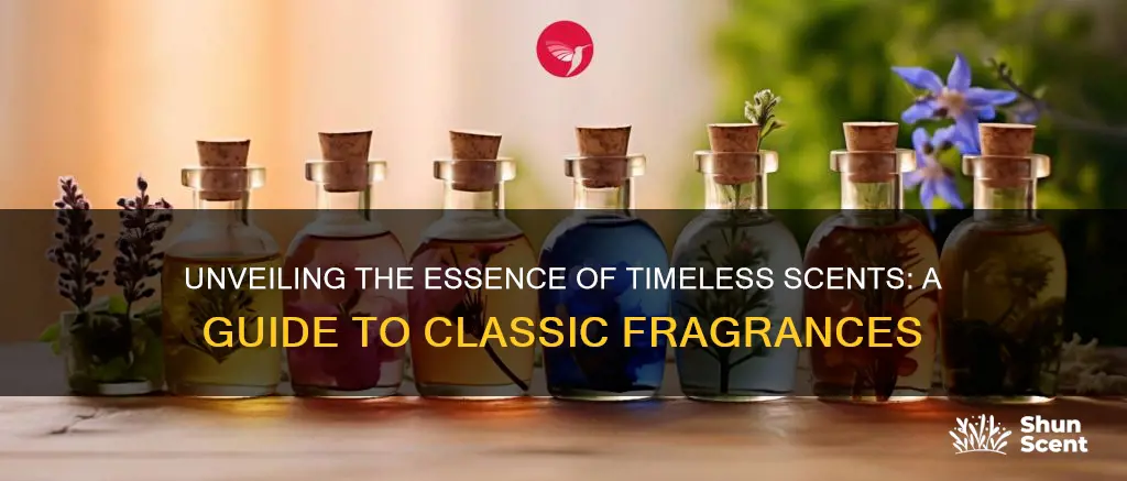 what is a classic fragrance