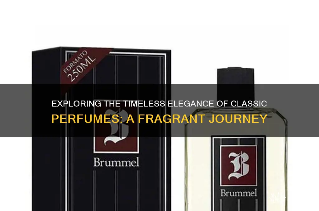 what is a classic perfume
