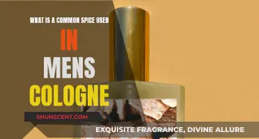 The Spicy Scent of Men's Cologne