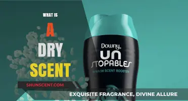 Unveiling the Mystery: What Is a Dry Scent?