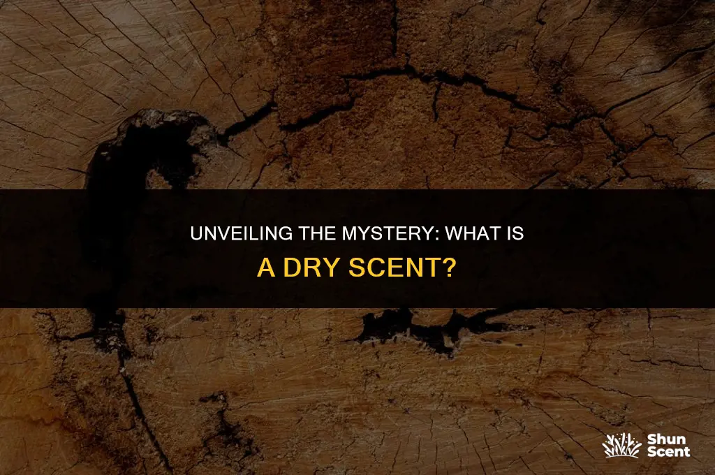 what is a dry scent