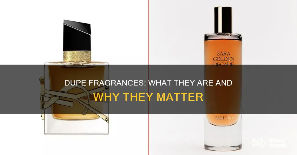 what is a dupe fragrance