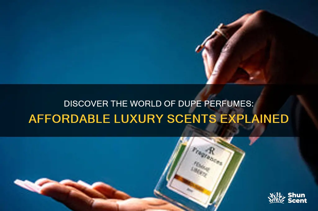 what is a dupe perfume