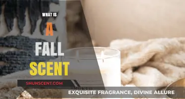 Embracing Autumn: A Guide to the Perfect Fall Scent