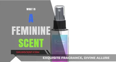 Exploring the Essence of Femininity: A Journey into Feminine Scents