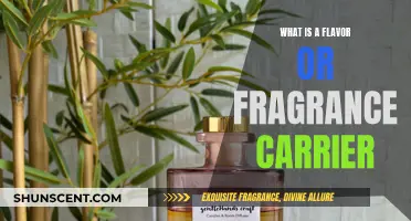 Unveiling the Mystery: Understanding Flavor and Fragrance Carriers