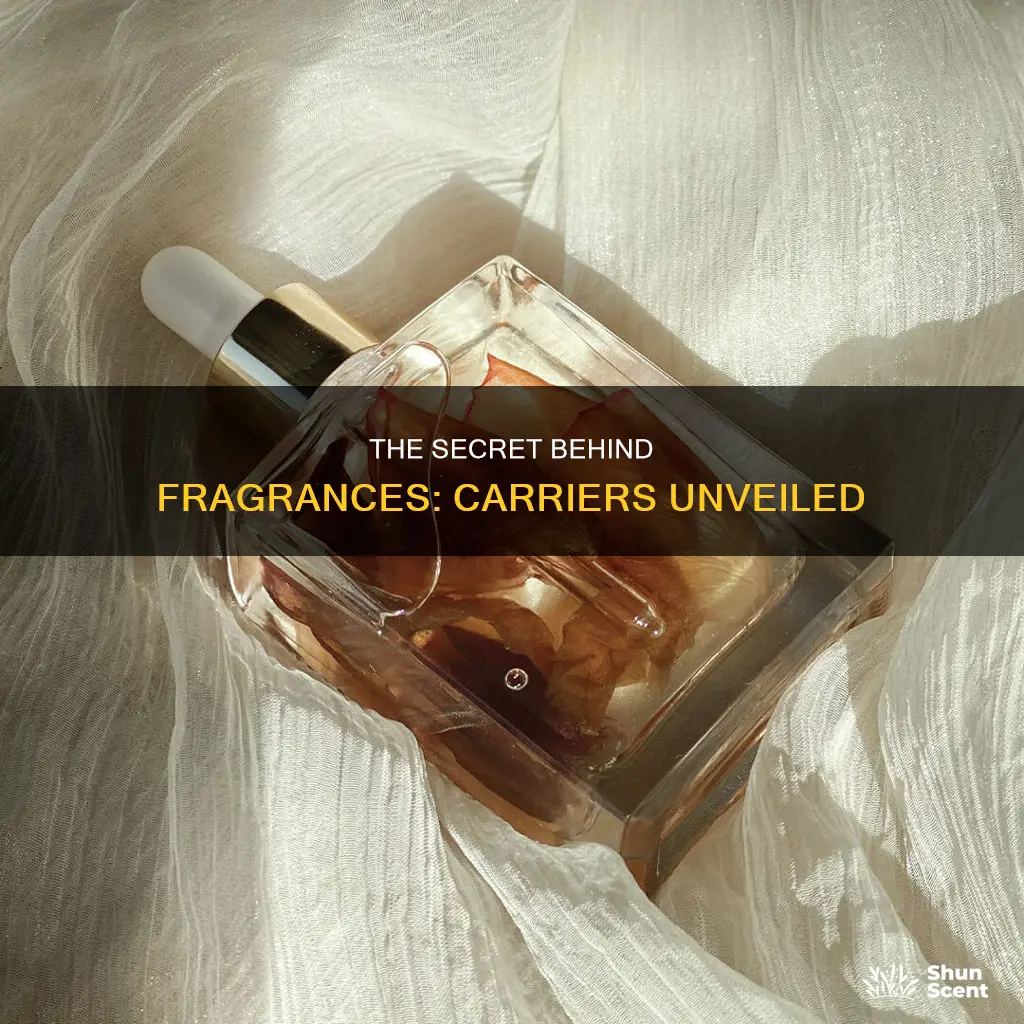 what is a flavor or fragrance carrier