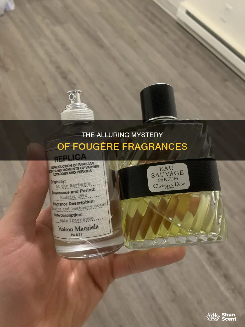 what is a fougere fragrance