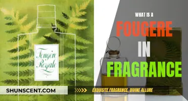 Unveiling the Fougère: A Fragrant Journey Through Time and Scent