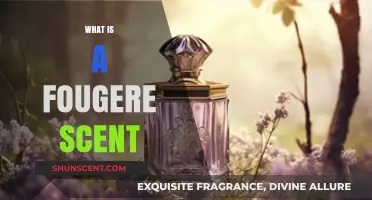 Exploring the Alluring World of Fougere Fragrances: A Scent Guide