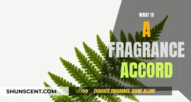 The Art of Fragrance Accords: Understanding Their Magic
