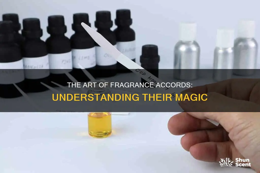 what is a fragrance accord