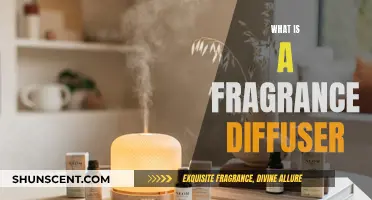 Explore the World of Fragrance Diffusers