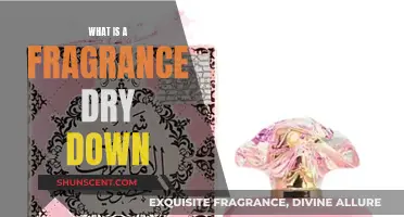 The Magic of Fragrance: Understanding Dry Down