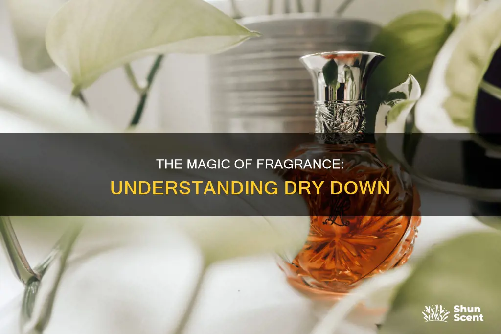 what is a fragrance dry down