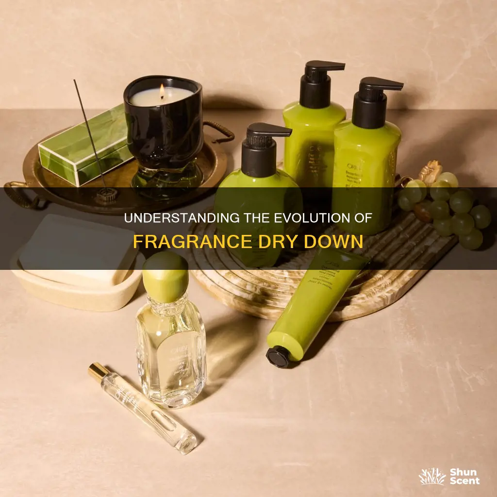 what is a fragrance dry down