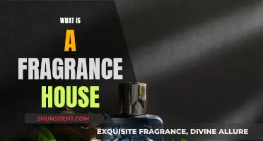 The Art of Fragrance Houses: An Introduction