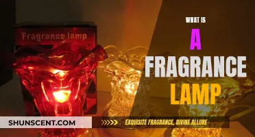 The Magic of Fragrance Lamps: Enhancing Your Space