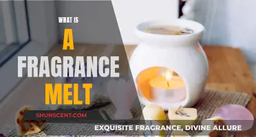 The Magic of Fragrance Melts: Enhancing Your Space