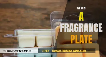 Explore the World of Fragrance Plates: A Beginner's Guide