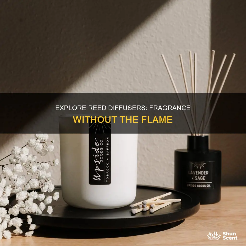what is a fragrance reed diffuser