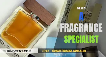 Fragrance Specialists: Curators of Scents and Aromatic Experiences