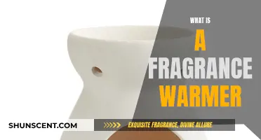 Uncover the Magic: What's a Fragrance Warmer?