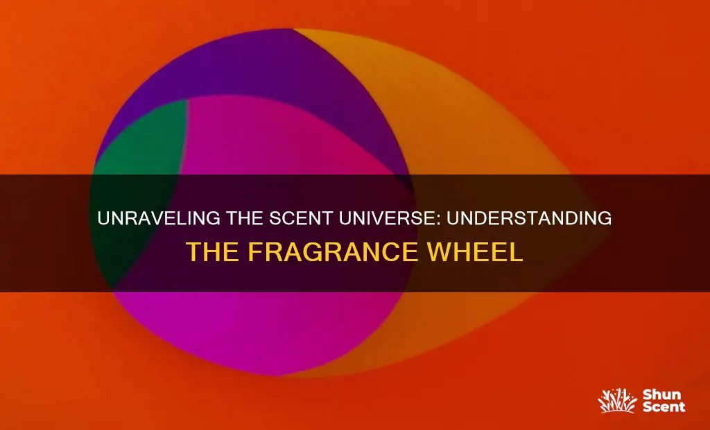 what is a fragrance wheel