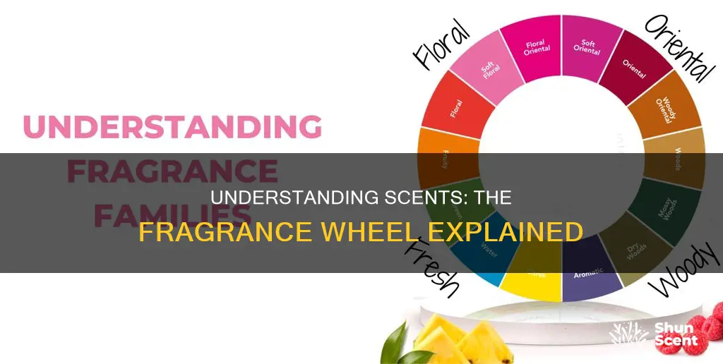 what is a fragrance wheel