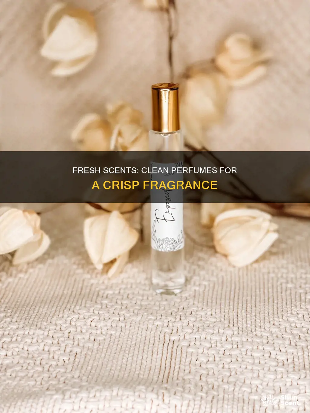 what is a fresh clean smelling perfume